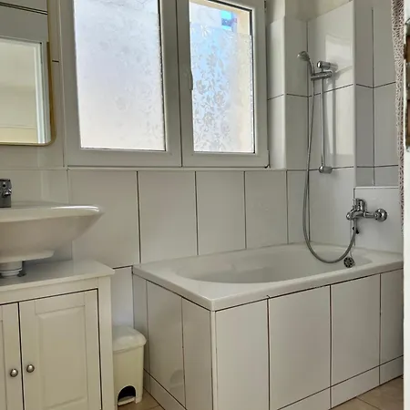 Leo Front * 포드고라